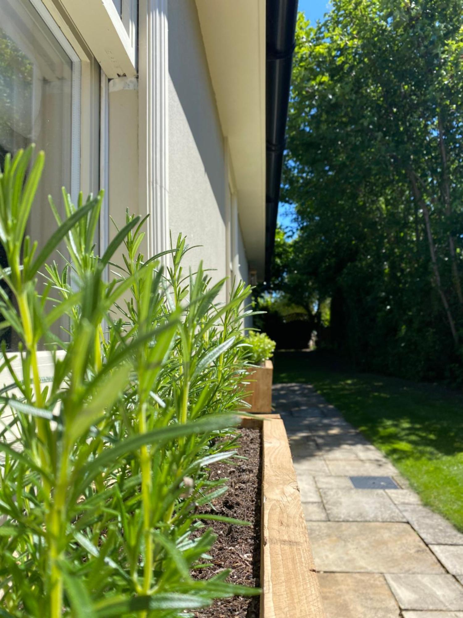 Enchanting 1 Bedroom Home With Kitchen Saffron Walden Exterior foto